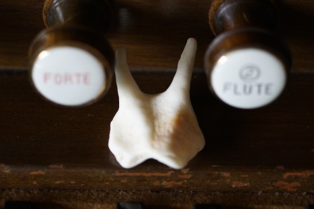 DSC07383.jpg DSC07383.jpg