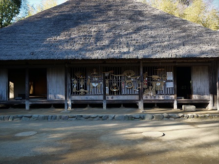 PG9P5245.jpg PG9P5245.jpg