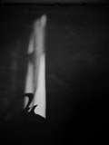 画像の説明 画像の説明