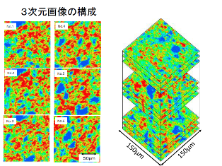 画像の説明