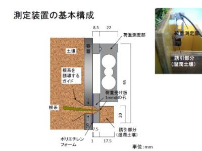 画像の説明