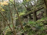 画像の説明 画像の説明
