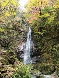 画像の説明 画像の説明