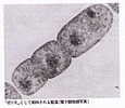 『選択』連載10 『選択』連載10
