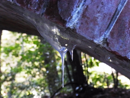 水路閣のツララ