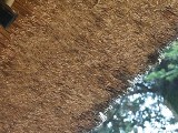 画像の説明 画像の説明