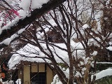 画像の説明 画像の説明