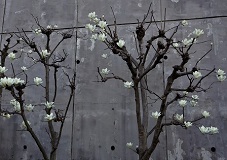 画像の説明 画像の説明