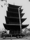 画像の説明 画像の説明