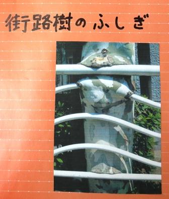 画像の説明