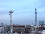 画像の説明 画像の説明